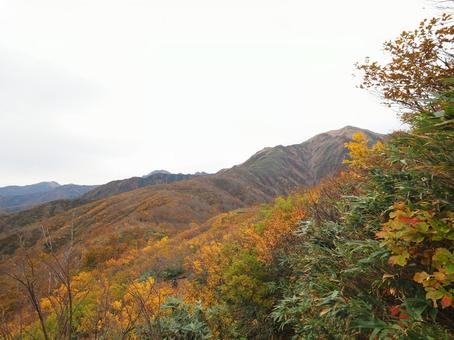 紅葉(越後三山・越後駒ヶ岳) 紅葉(越後三山・越後駒ヶ岳)の写真