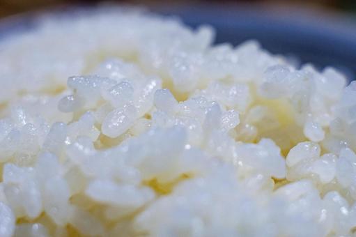 炊き立ての美味しそうな新米の粒 炊き立ての美味しそうな新米の粒 ご飯,米,ごはんの写真素材