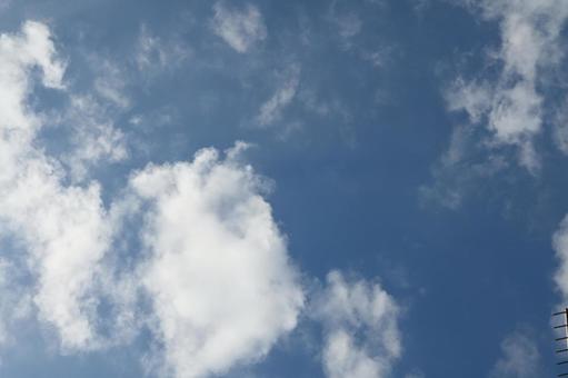 夏青雲 夏青雲の写真