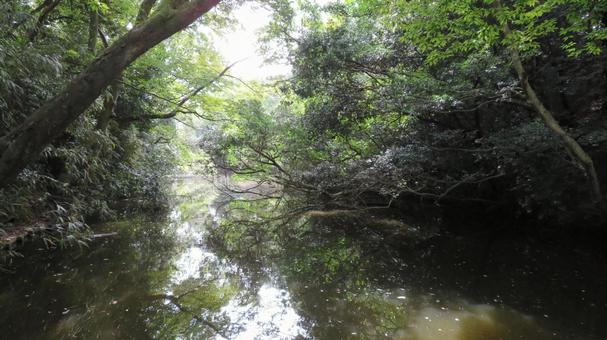 大草城 水堀跡 大草城 水堀跡の写真