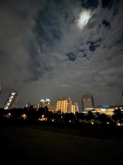 お台場の夜景と朧月夜 お台場の夜景と朧月夜の写真