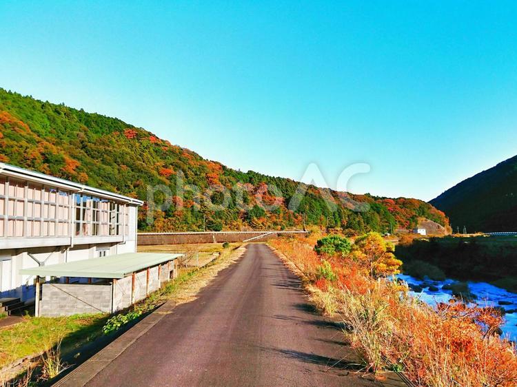 秋の散歩 おいしい,おでかけ,きれいの写真素材
