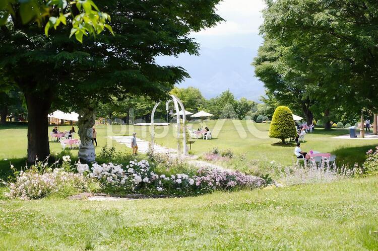 山梨県北杜市　ハイジの村 山梨県,ハイジの村,北杜市の写真素材