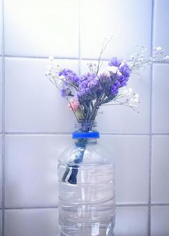 ペットボトルのドライフラワー ペットボトルのドライフラワー ペットボトル,植物,花の写真素材