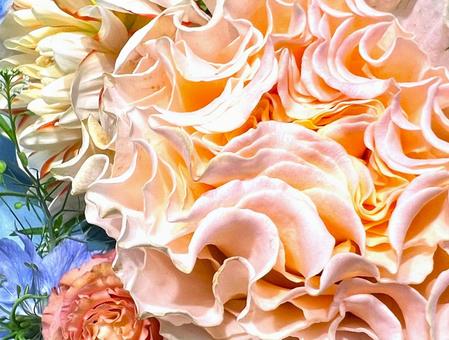 パステルトーンの花 パステルトーンの花 花,パステルカラー,アップの写真素材