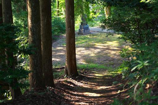 神社の山道 神社の山道 山道,山,田舎の写真素材