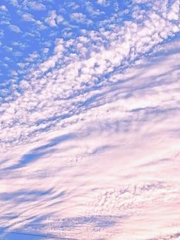 夏の夕暮れの写真