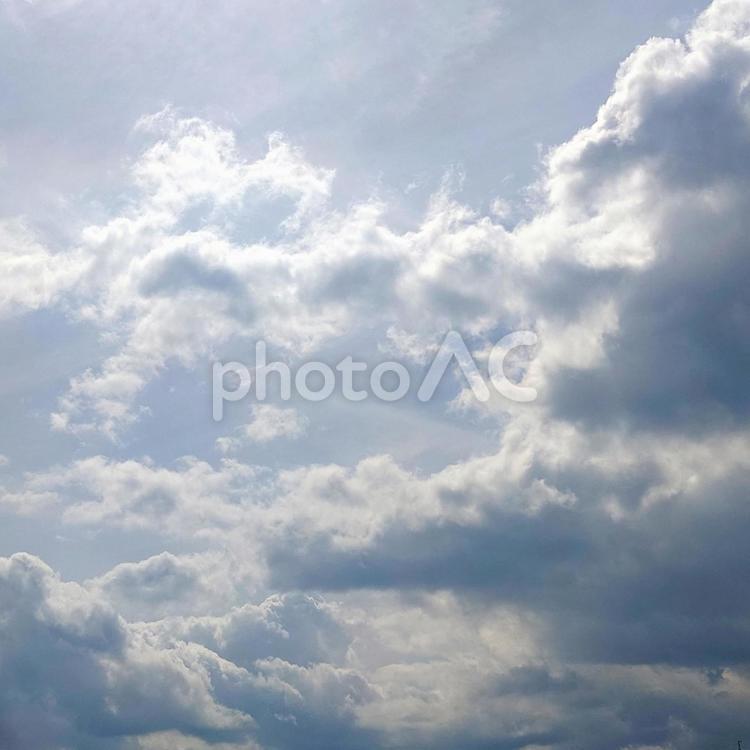 曇り空の明るさ 曇り空,雲,空の写真素材