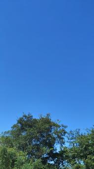 青空001 青空001の写真