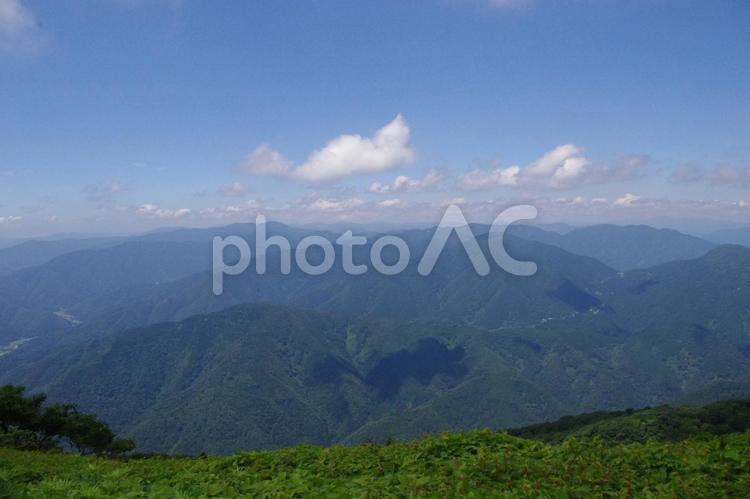 伊吹山の頂、夏の花模様 伊吹山,滋賀,山の写真素材