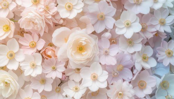 パステル調の花の背景壁紙写真 パステル調の花の背景壁紙写真の写真