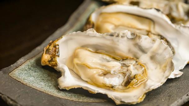 生牡蠣（食品.魚貝類） 生牡蠣,牡蠣,北海道の写真素材