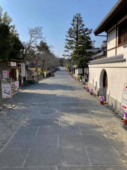 京都街歩き 京都街歩き 京都,お寺,散歩の写真素材