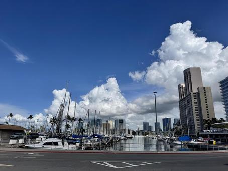 大桟橋から見たヨット 大桟橋から見たヨット 都市風景,海,舟の写真素材