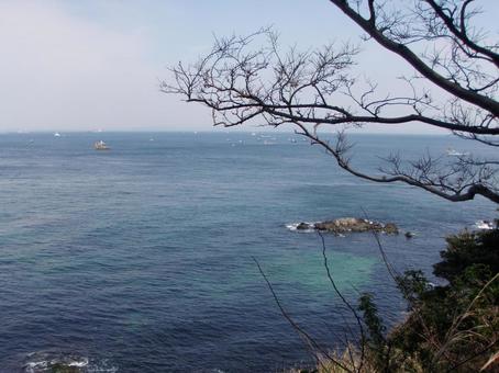 猿島から見た東京湾 猿島,東京湾,海の写真素材