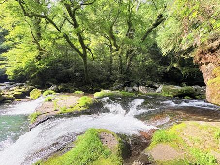 上流の川 上流,水,熊本の写真素材