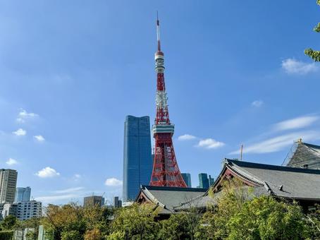 増上寺の屋根と東京タワー 増上寺の屋根と東京タワー 東京タワー,芝公園,東京の写真素材