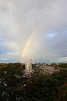 １０月中旬の朝の三浦市町並みにかかる虹 虹,レインボー,空の写真素材