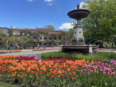 ルンド ルンド,スウェーデン,北欧の写真素材