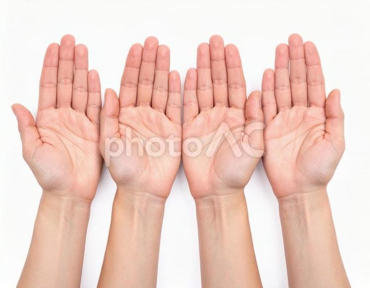 2人分の両手のひら 手,両手,手のひらの写真素材