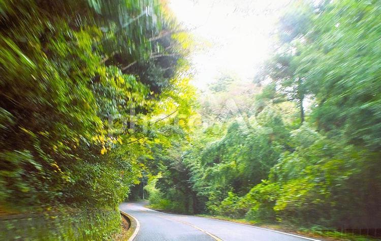 明るい日差しが漏れる山中の道路 坂,坂道,カーブの写真素材