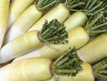 山盛り大根① 山盛り大根① ダイコン,野菜,生野菜の写真素材