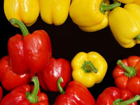 野菜・パプリカ パプリカ,カラーピーマン,カラフルの写真素材
