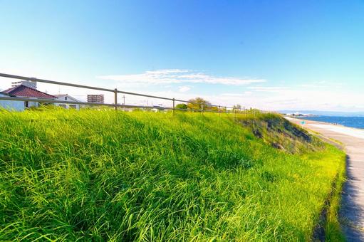 風の土手① 風の土手① 草原,土手,川の写真素材