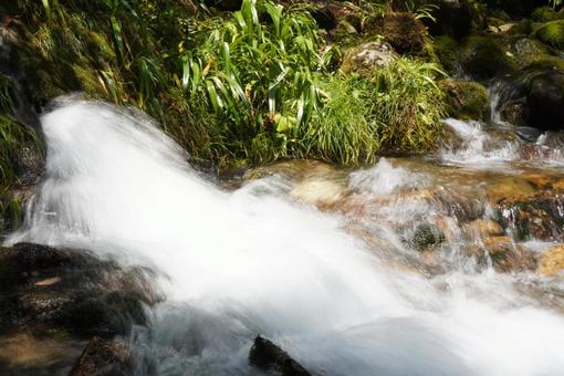 伏流水を横から接写 伏流水を横から接写の写真