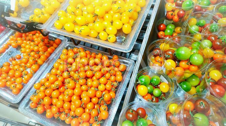 色とりどりのトマト、野菜 色とりどり,フード,果物の写真素材