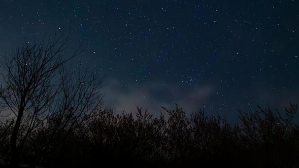 枯れ木に寄り添う星の静寂 枯れ木に寄り添う星の静寂 枯れ木,枝,幹の写真素材