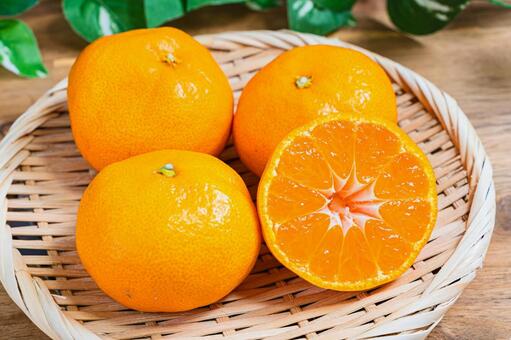 みかん みかん,温州みかん,柑橘の写真素材