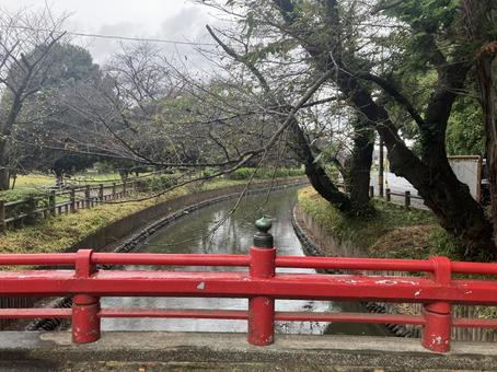 秋の公園③ 秋の公園③の写真