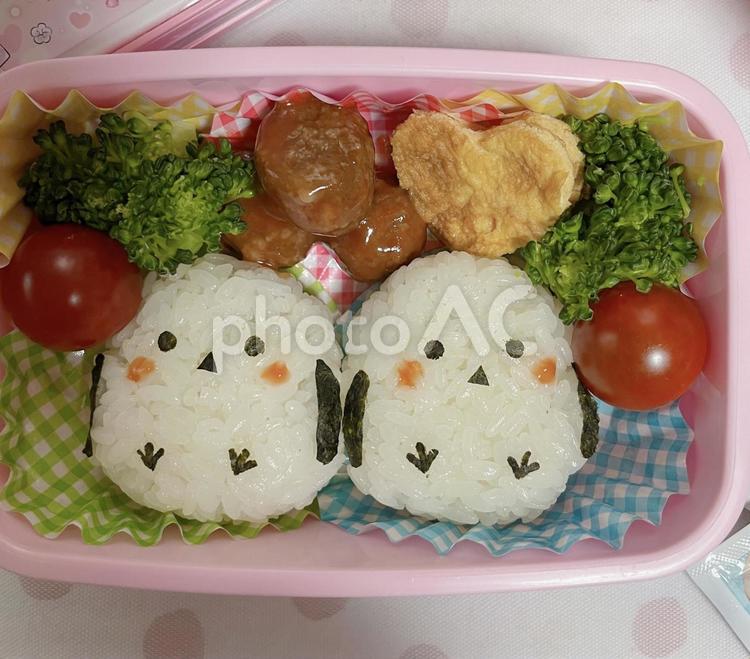 シマエナガお弁当 シマエナガ,お弁当,弁当の写真素材