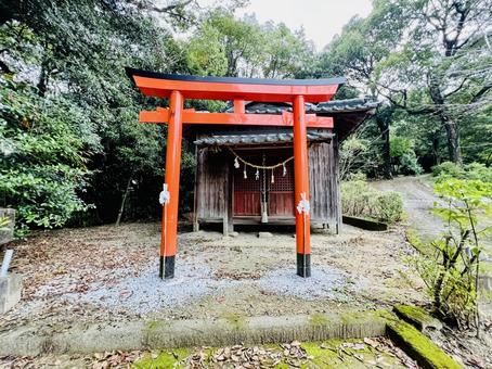 白石神社 白石神社,神社仏閣,神社の写真素材