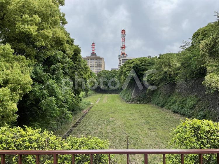 名古屋城の緑に覆われたお堀 お堀,名古屋,名城公園の写真素材