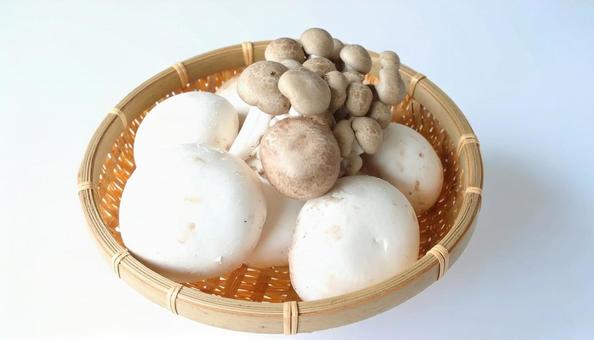 竹ザルに盛られたキノコ 秋の味覚 竹ザルに盛られたキノコ 秋の味覚の写真