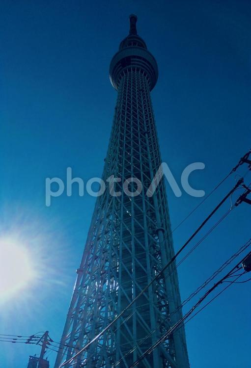 スカイツリーを見上げる スカイツリー,空,そびえたつの写真素材