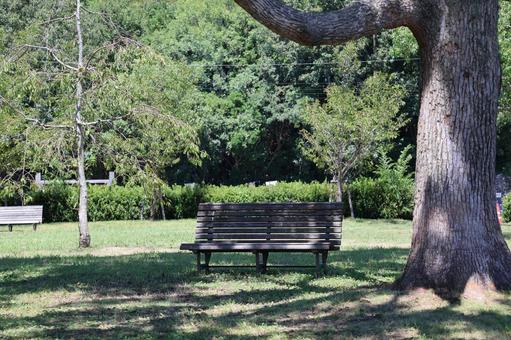 緑の木々と植物とベンチのある公園の風景の写真