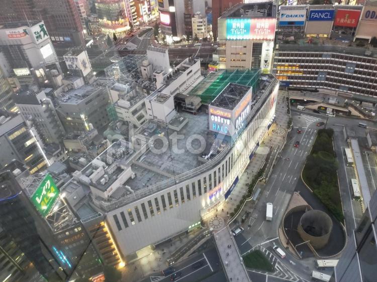 新宿を見下ろす 夕焼け,夕日,風景の写真素材