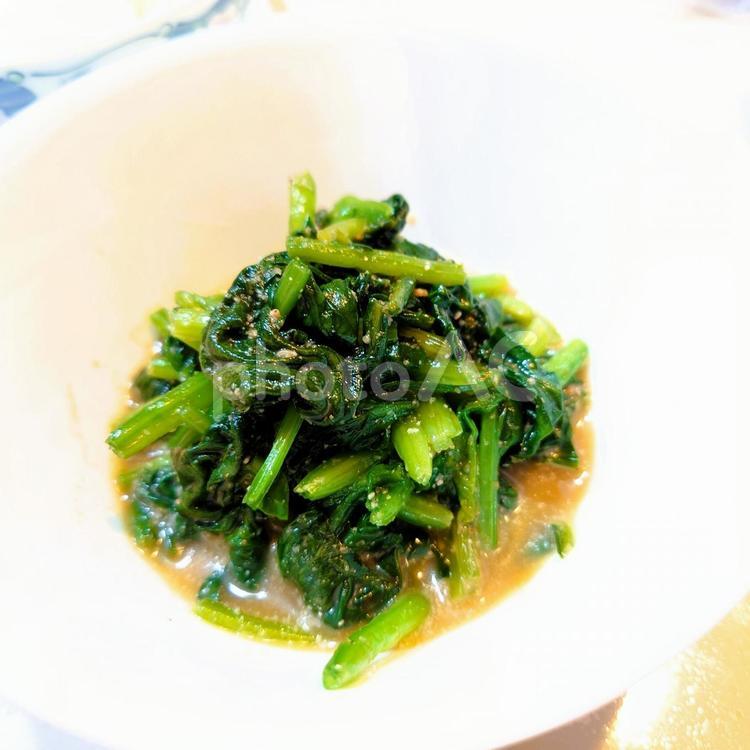 ほうれん草の和え物 ほうれん草,ゴマ,和え物の写真素材
