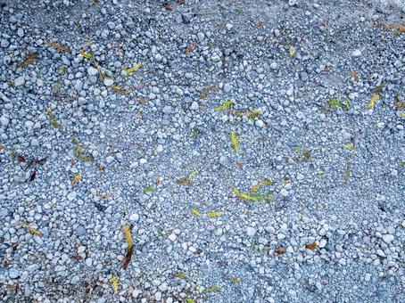 枯れ葉混じりの砂利 地面,砂利,小石の写真素材