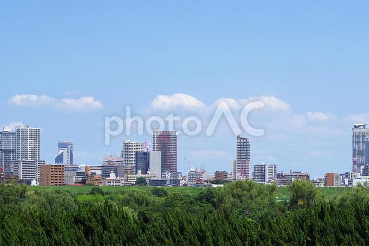 荒川の土手から見た都市景観 荒川,土手,浮間舟渡の写真素材