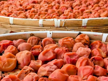 Photo, salted plum, perilla plum, plum, 
