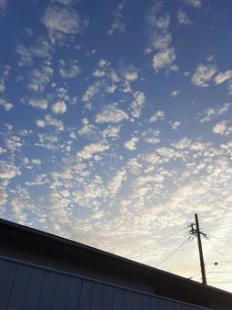 雲 雲の写真