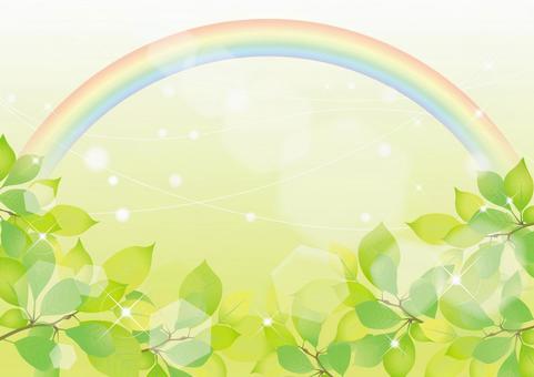 Fresh green image 7, rainbow, fresh green, young leaves, JPG