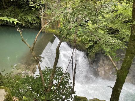 滝 滝の写真