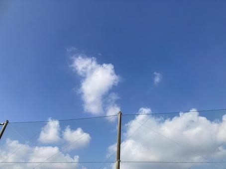 ネットフェンスと青空 ネットフェンスと青空 ネットフェンス,青空,風景の写真素材