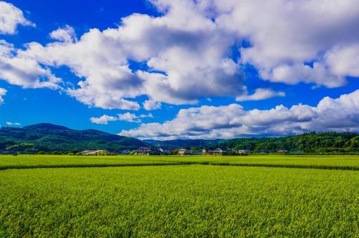 日本が誇れる田園風景 日本が誇れる田園風景の写真