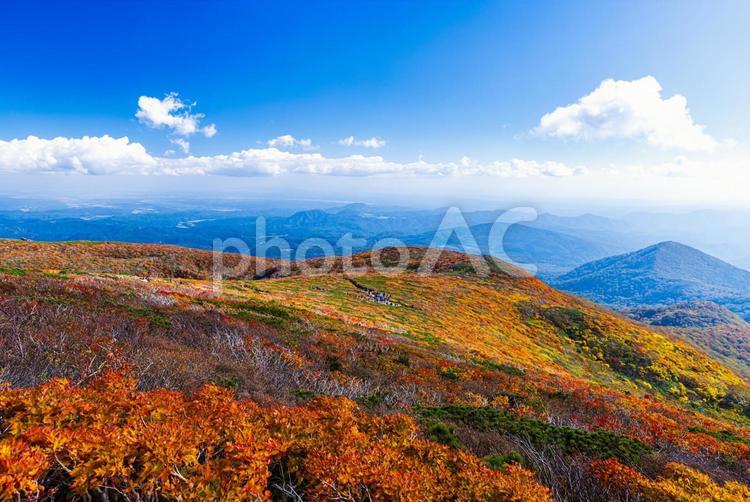 秋色に染まる　栗駒山の絶景 山,秋,紅葉の写真素材